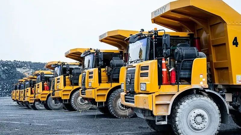 开始下饺子模式,开始下饺子的图片