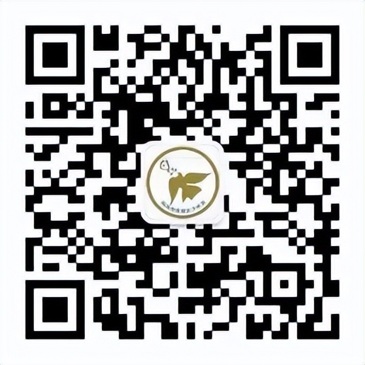 小浪花舞蹈工作室,北海小浪花舞蹈艺术中心简介