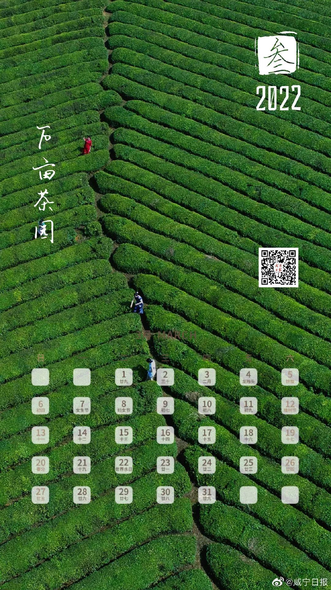 2022年各月日历精美壁纸,2022年手机日历壁纸全年