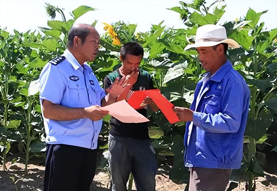 完善政策性农业保险机制,政策性农业保险对农业生产作用