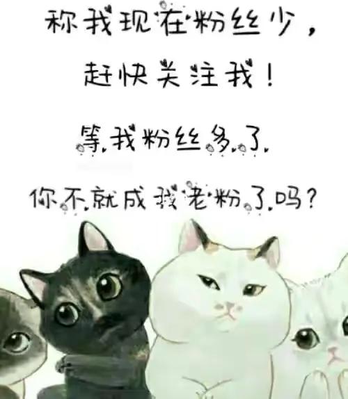 类似再苏就炸了的快穿文,强烈推荐超好看的快穿小说