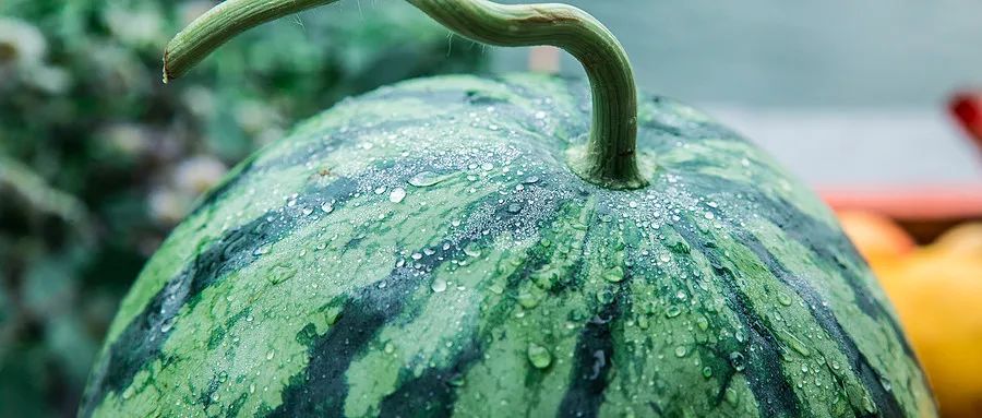 几月最适合吃什么水果,最适合七月吃的水果是什么