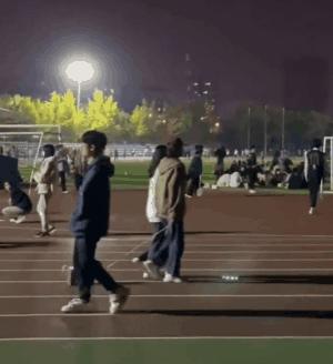 这届学生，开始在宿舍遛“纸狗”了