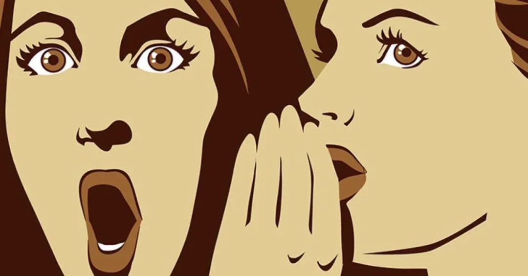 养猫忠告尽量少买华而不实的东西,养猫容易被忽悠买的东西