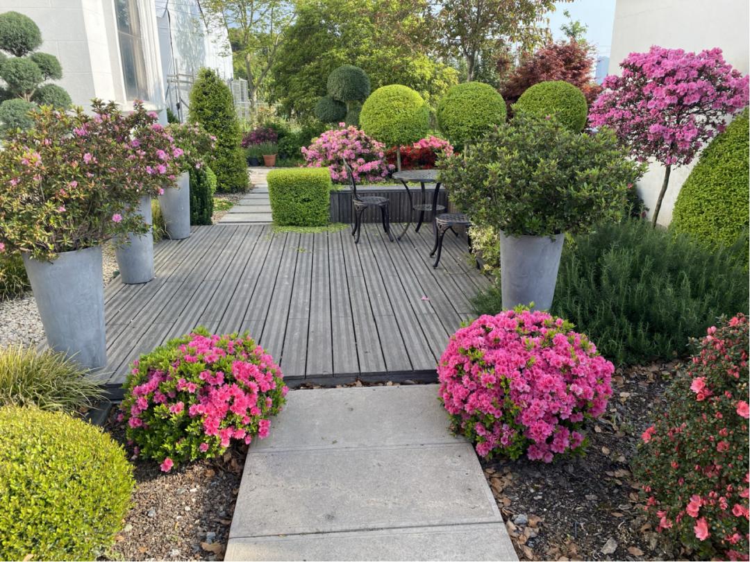 那些被我们忽略的风景,球球景观