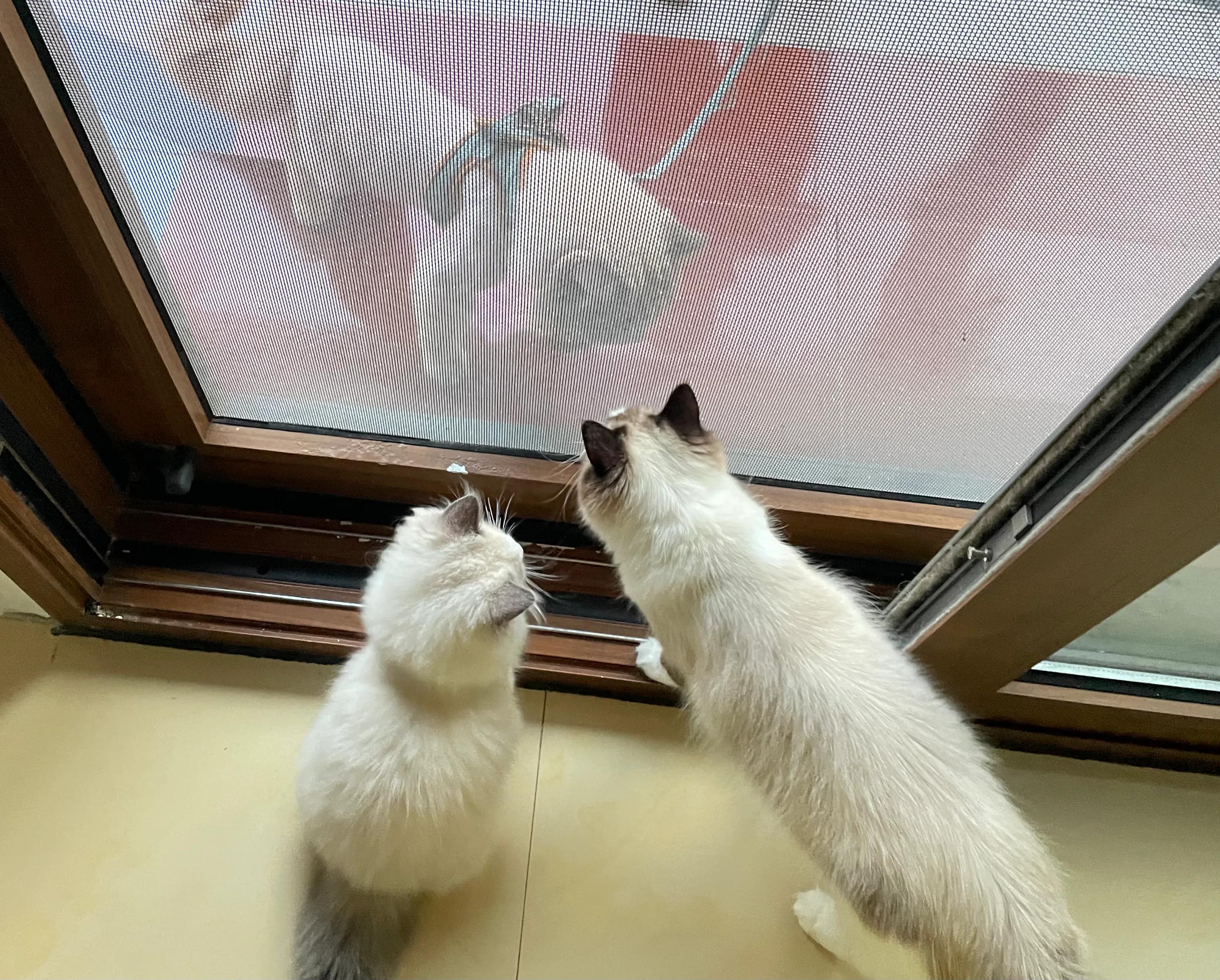 普信男和普信女哪个多,普信男和普信女是什么关系