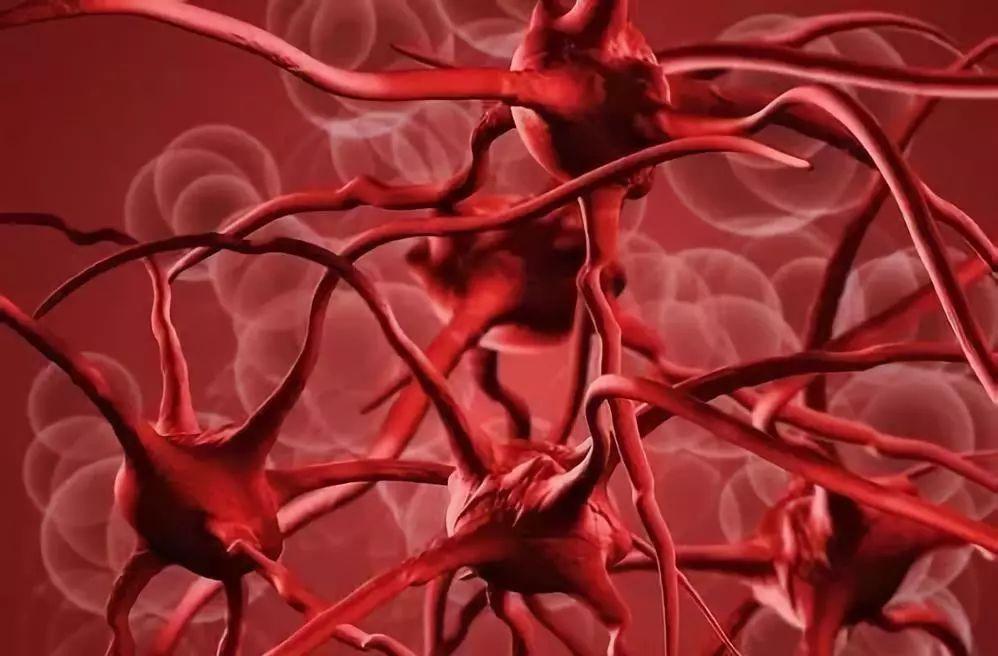 叶酸片的功效与作用多少钱一盒,叶酸片的功效与作用能治白发吗