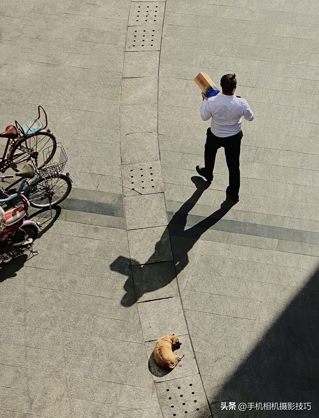 最有违和感的照片,盘点那些毫无违和感的图片