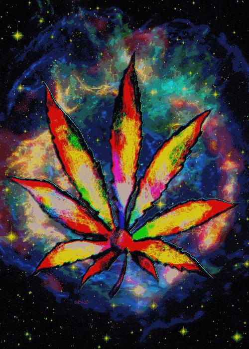 留学不能触碰的红线,国外留学被欺负怎么办