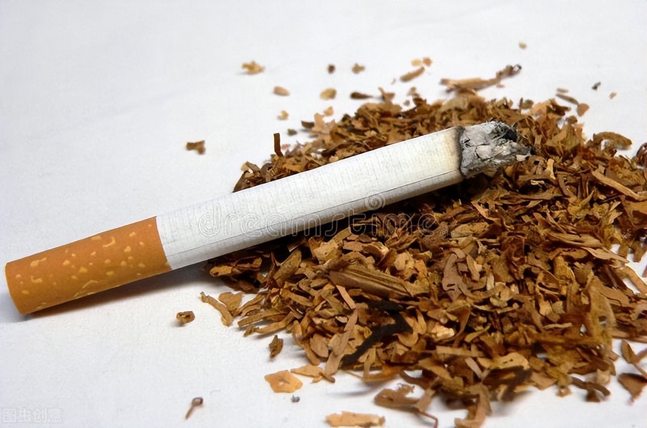 草产业的发展现状与展望,草产业发展现状与展望