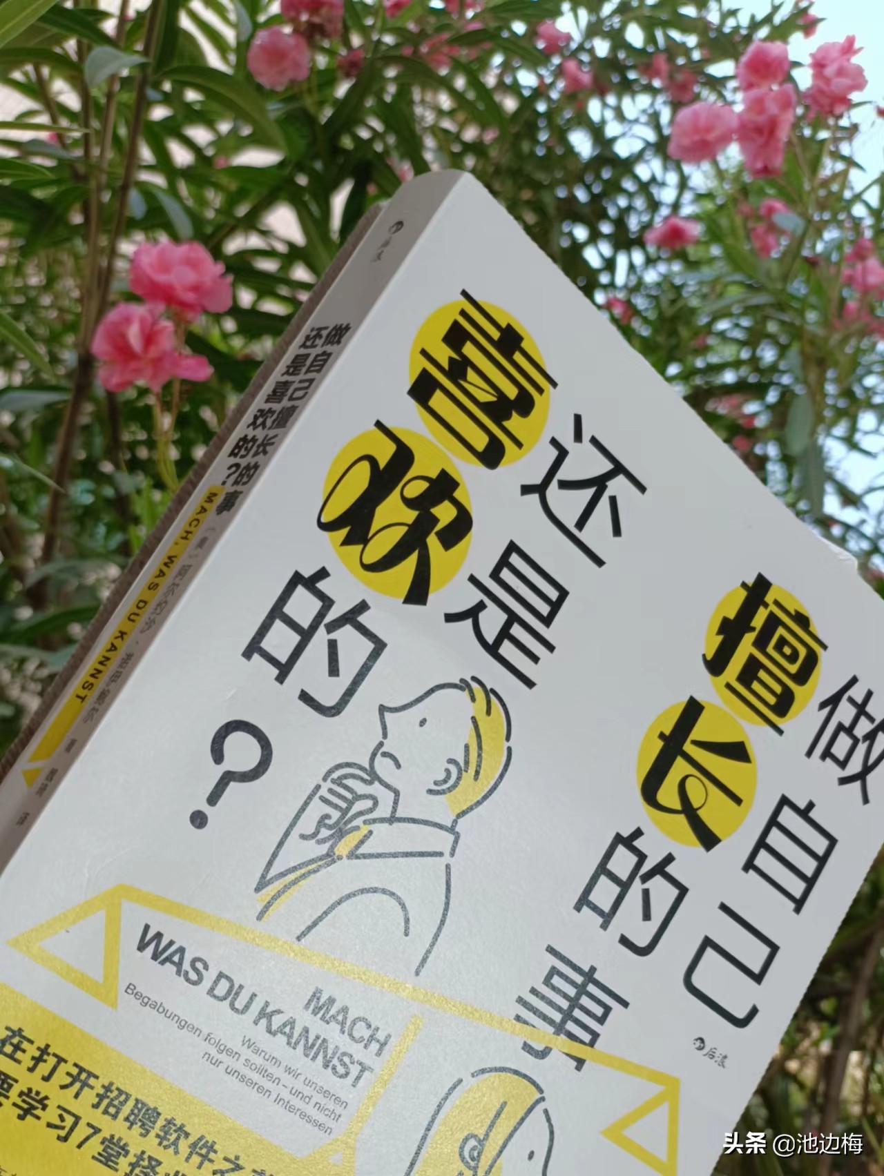 在自己最擅长的领域做最好的自己,在自己擅长的领域做最好的自己