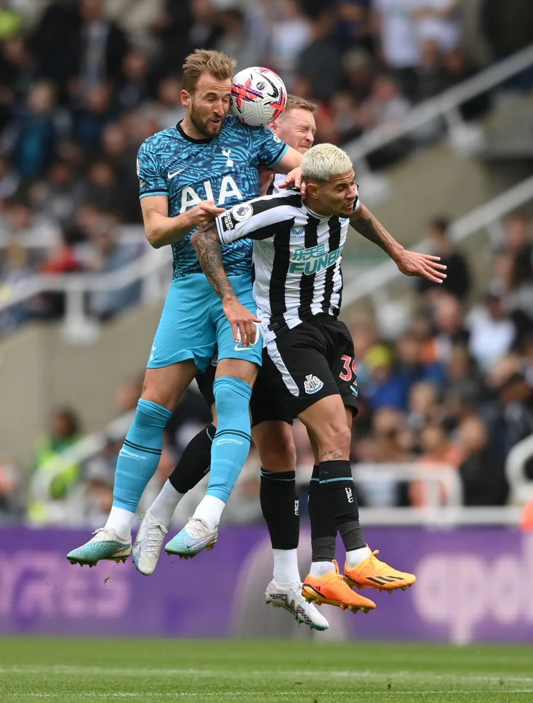 纽卡斯尔vs西汉姆联让负,英超热刺负纽卡斯尔联