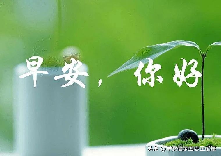 早安励志语录早安经典励志短句,有关早安的正能量句子励志简短