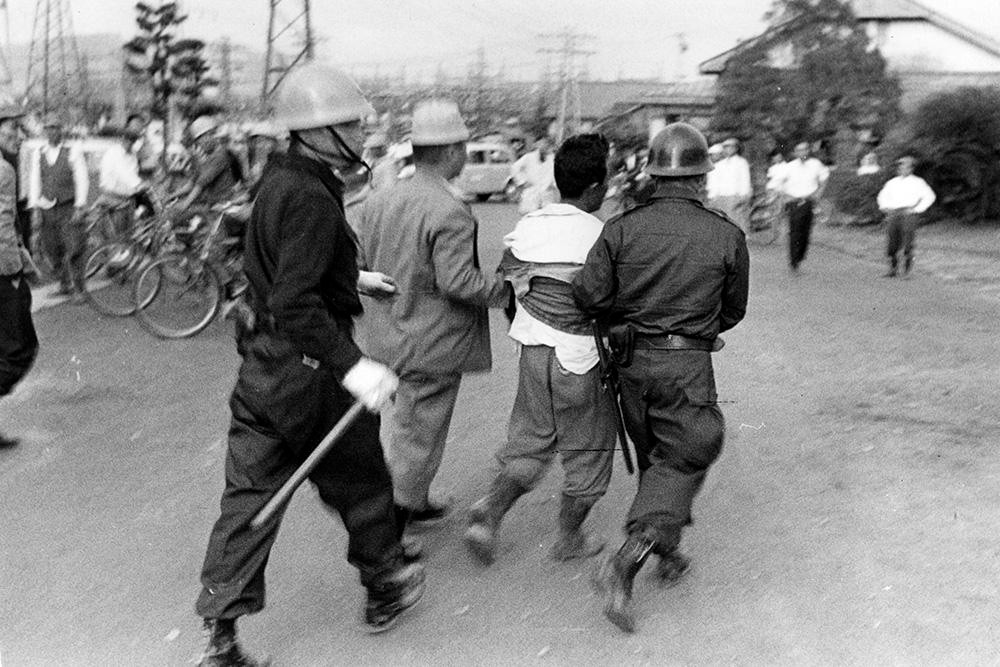 日本猫跳海,日本猫跳海事件