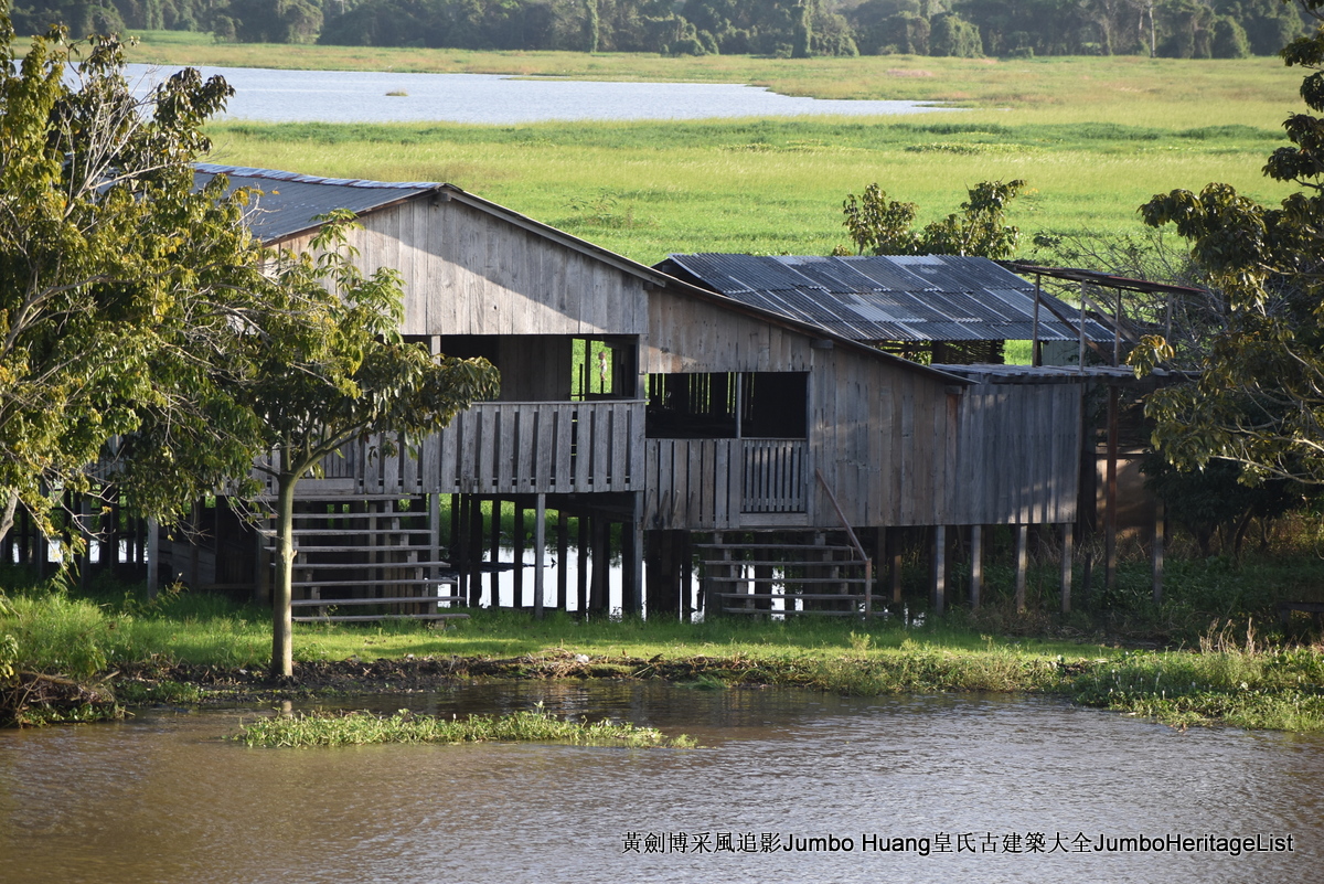 第5047回：消失的亚马逊文明，流失的林下聚居地