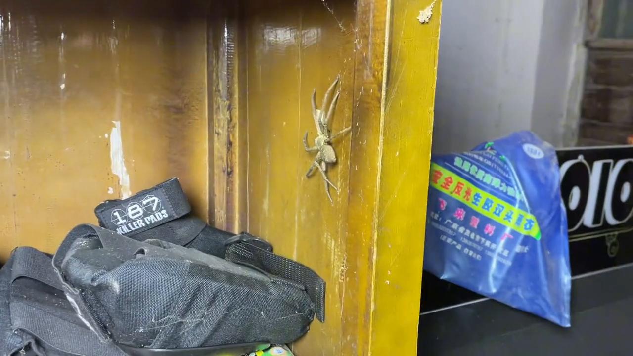 撕滑板砂纸#好爱滑板的自由感