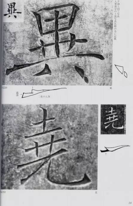 宸ョ瑪鐢绘潹鏅箟鐢诲唽,鏉滈箖鏉ㄦ櫘涔夊畬鏁寸増