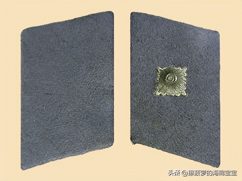 纳粹冲锋队用的什么枪,纳粹德军军衔图解