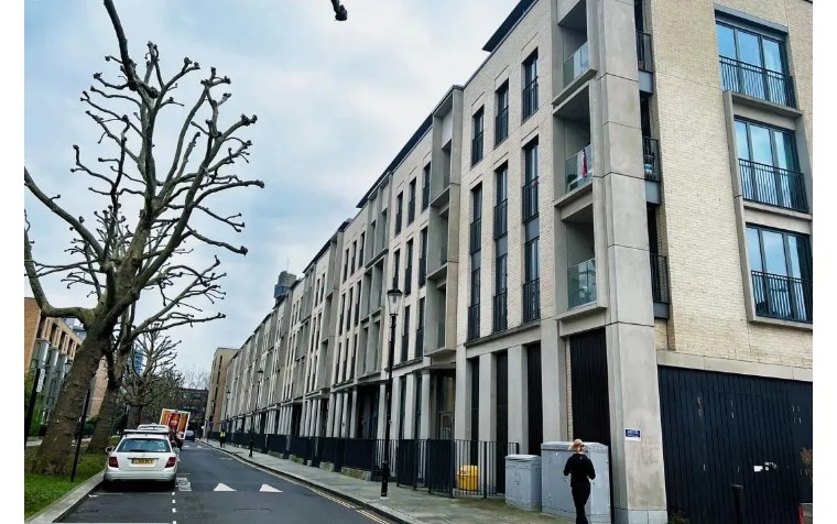 伦敦3月樱花,伦敦樱花季