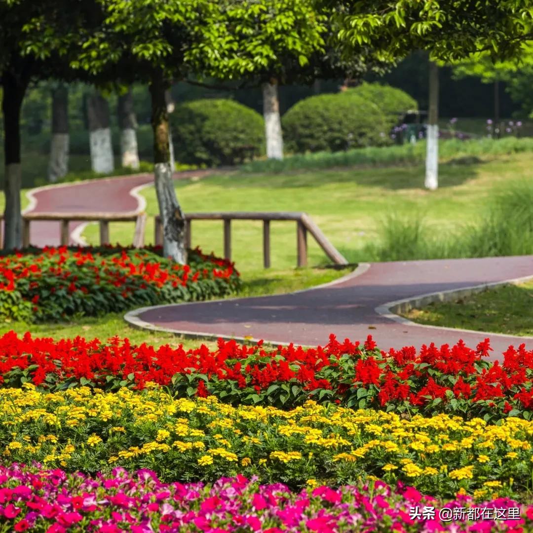 邂逅成都的100个生活细节,邂逅成都的一百个细节