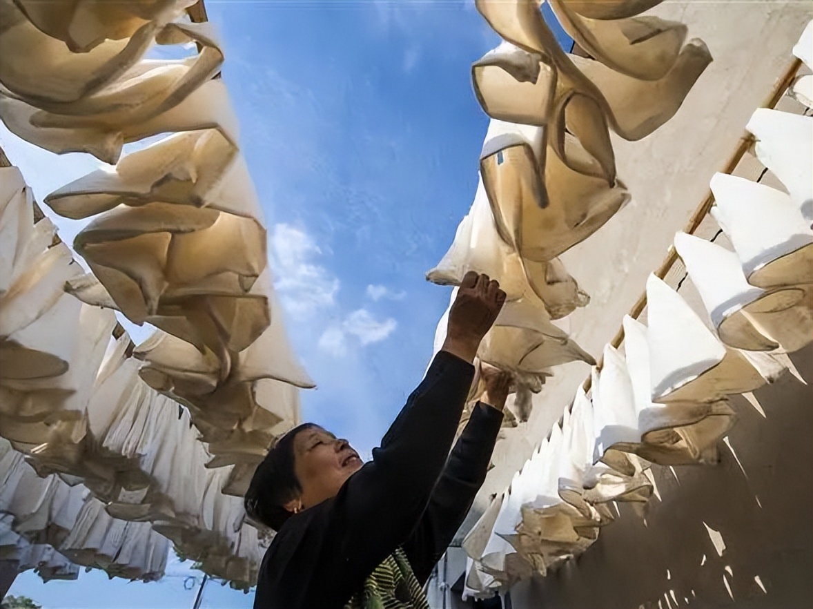 最近申遗成功的中国世界遗产,浙江申遗世界遗产