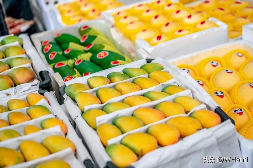 武汉最有名的20个批发市场,武汉各大批发市场在哪里