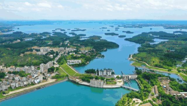 为什么会爱上广东,为什么会爱上英文歌