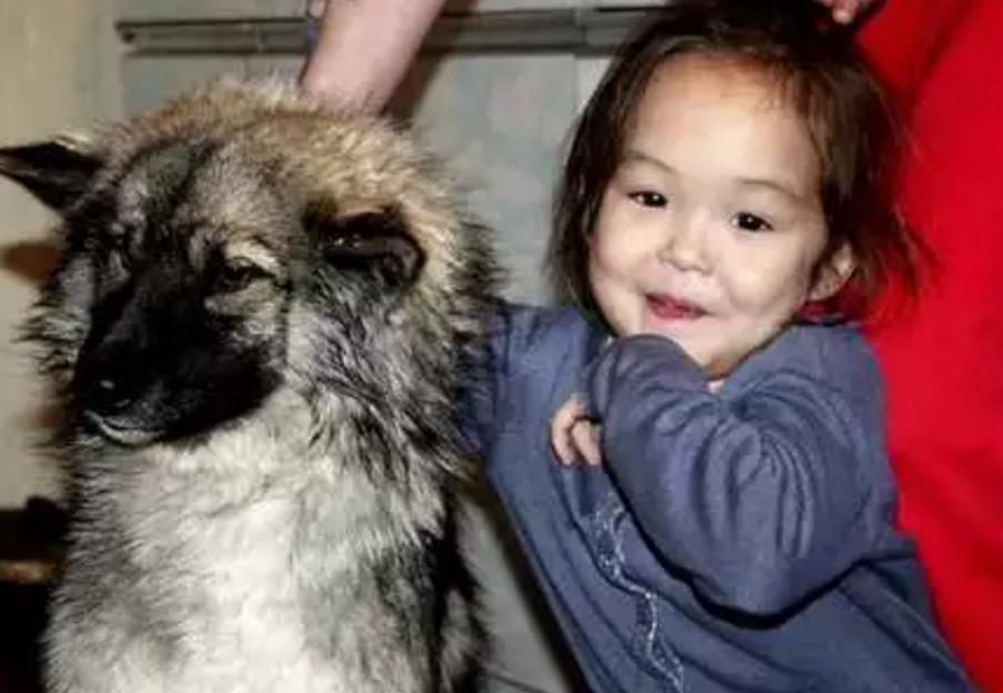 2岁儿童和狗失踪找到了吗,三岁女孩与狗狗一起失踪