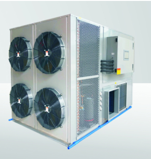 新鲜人参怎么用烘干机烘干,人参烘干最佳方法家用