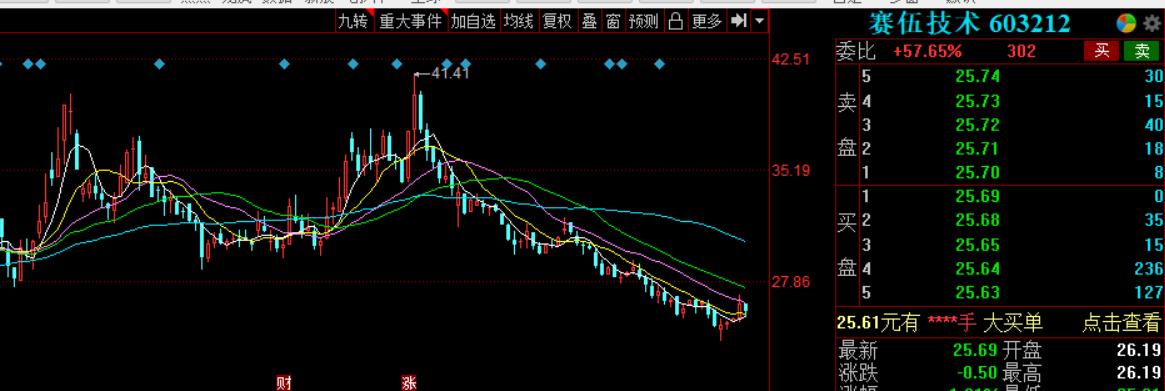 光伏细分领域的领军企业,光伏产业巨头