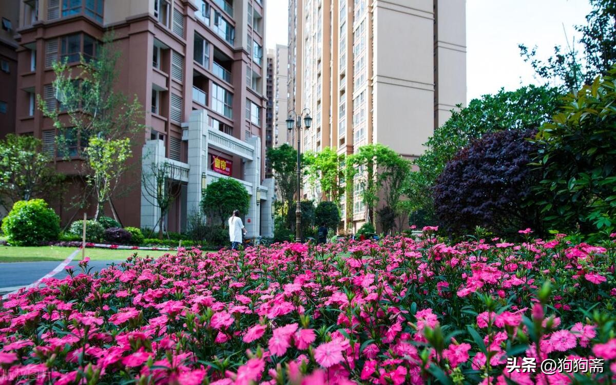 从底层开始小说,底层生活小说全集