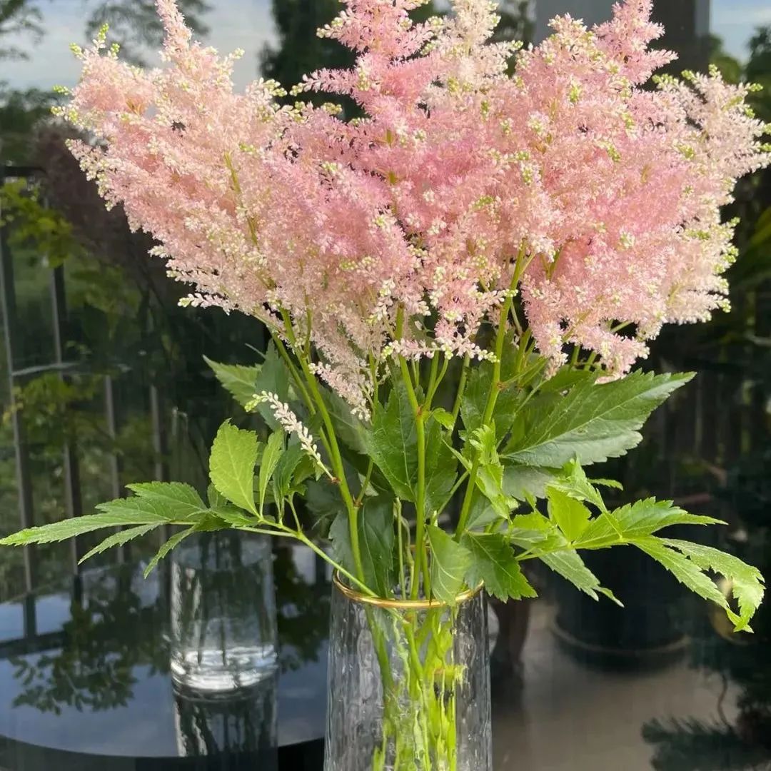 新手必看鲜花养护攻略,鲜花在水里能养几天会死