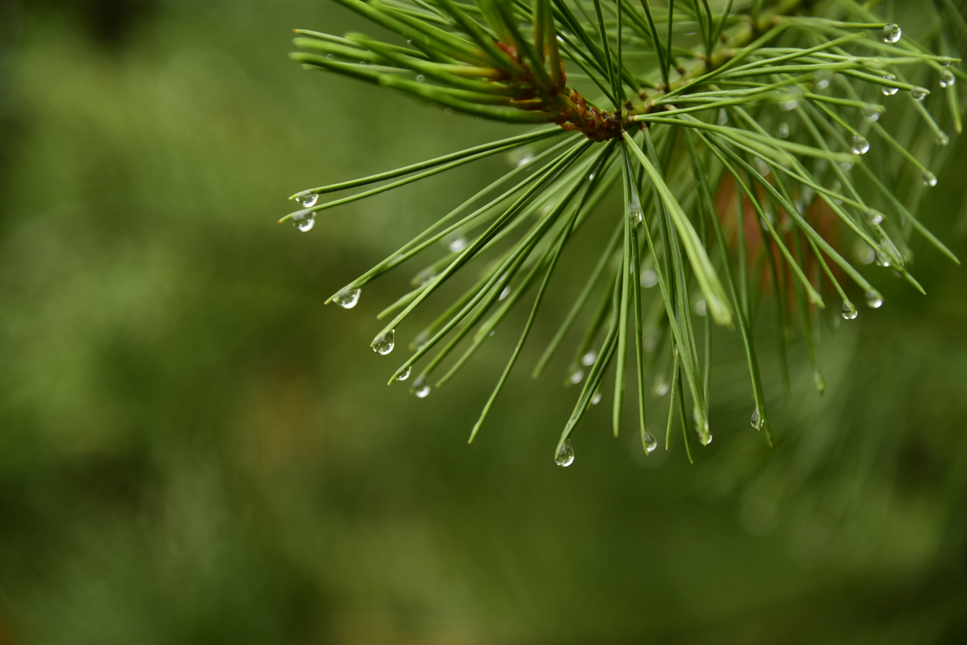 北方江南古北水镇,北方江南水镇简介
