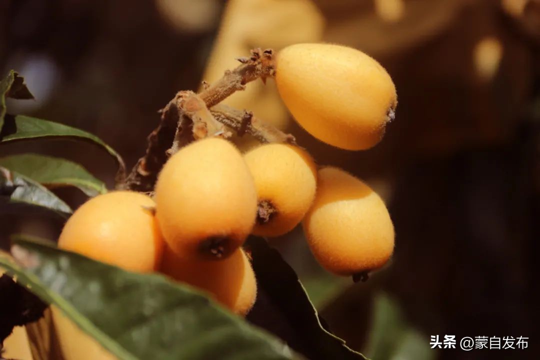 年入50万能赚多少钱,年入50万的小生意赚钱