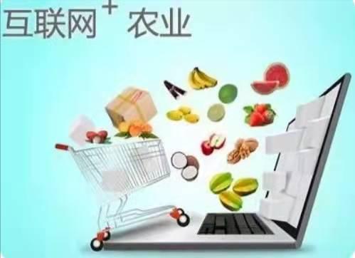 农村小生意最新商机,在农村发展什么好赚钱