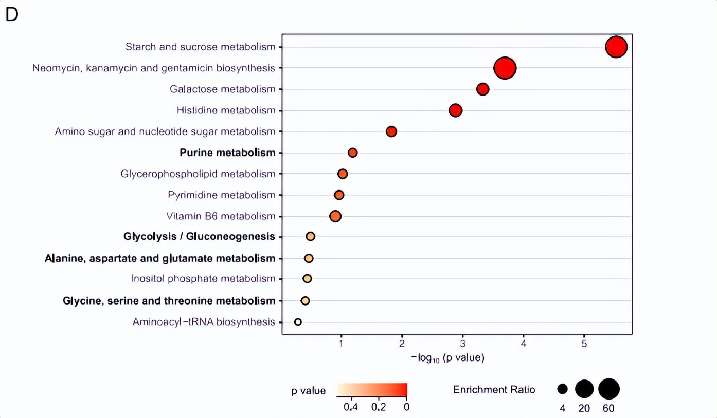 百趣代谢组学解读，深度解码蜜蜂肠菌调节宿主行为和神经功能