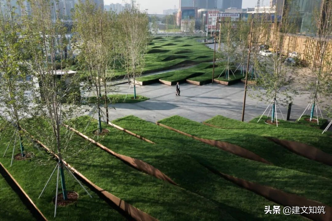 waf2023世锦赛,waf国内排名