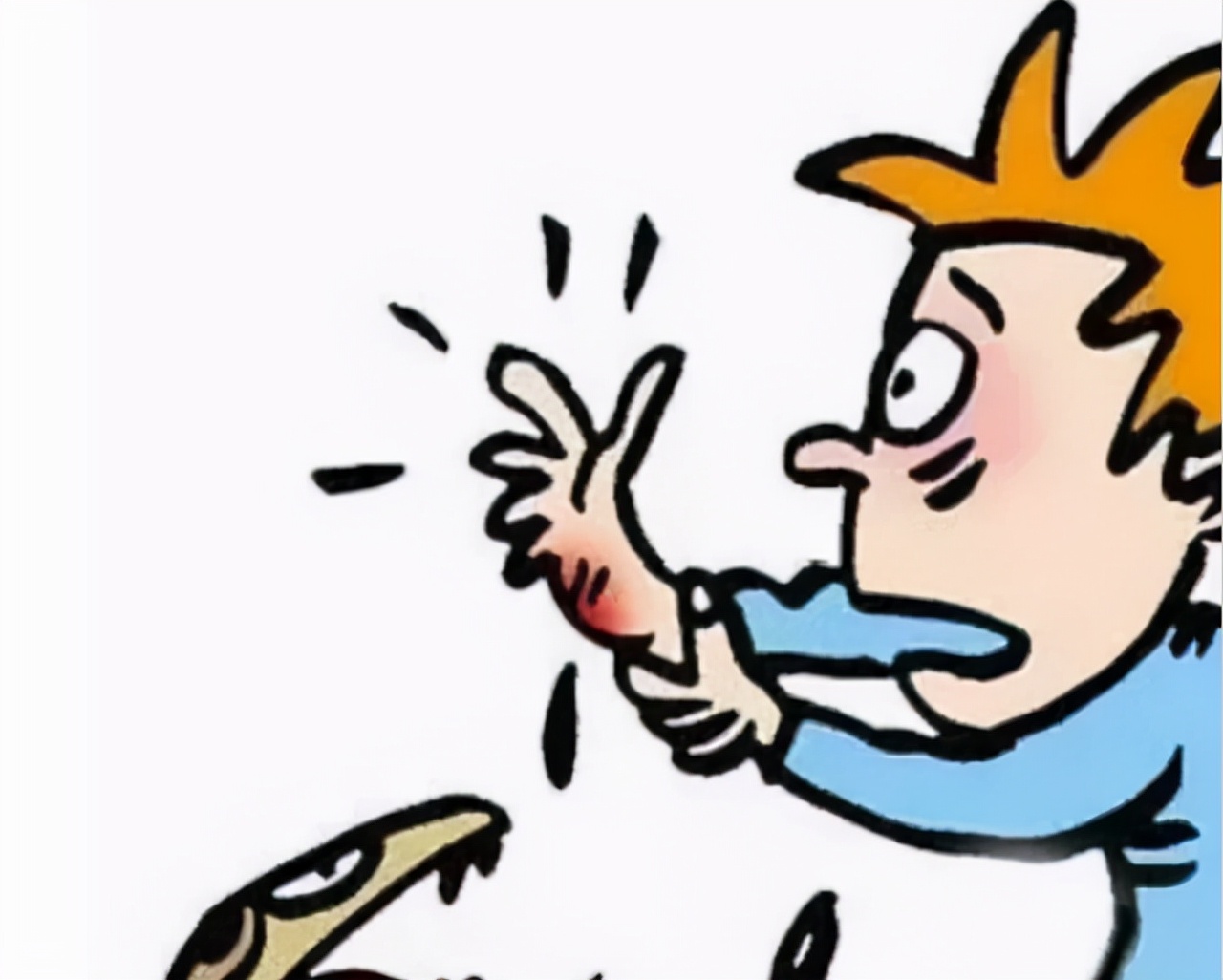 蛇不怕雄黄它究竟怕什么呢,蛇不怕雄黄粉而怕什么