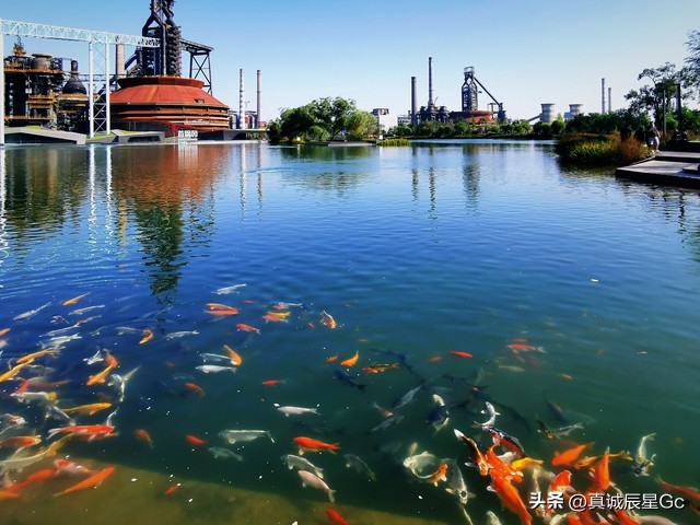 三本财务管理专业可以进哪些国企,大学财务管理专业可以考什么单位