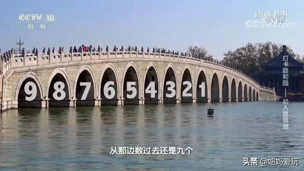 这几部口碑爆棚的宝藏纪录片,国庆孩子必看的8部神级纪录片