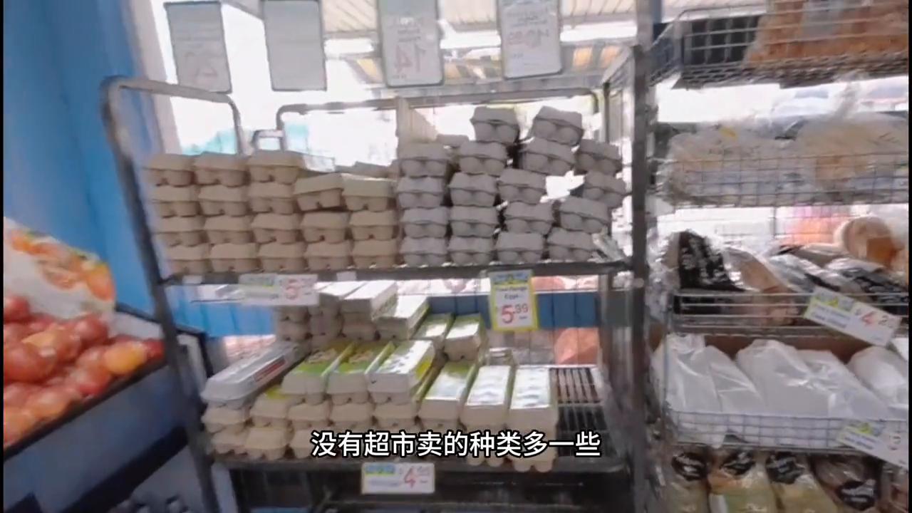 路的尽头是大海视频,路的尽头真的是大海