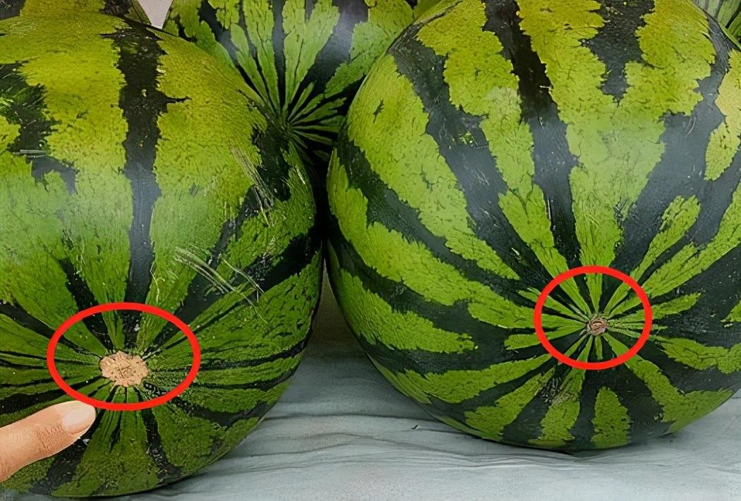 买西瓜时选哪一头好吃,买西瓜怎么挑选熟瓜