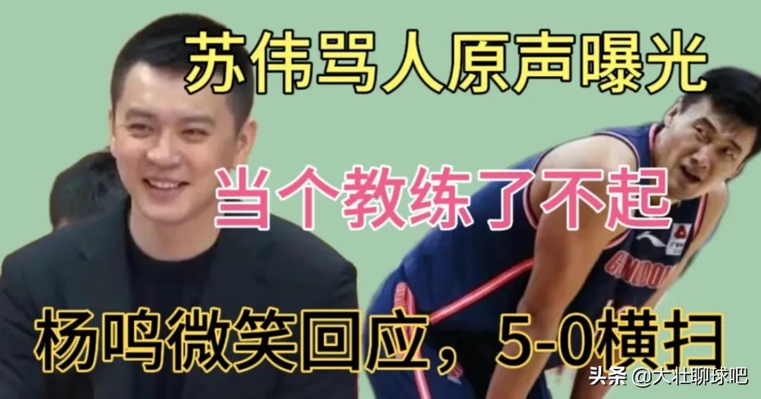 苏伟骂杨鸣,杨鸣对苏伟说了什么