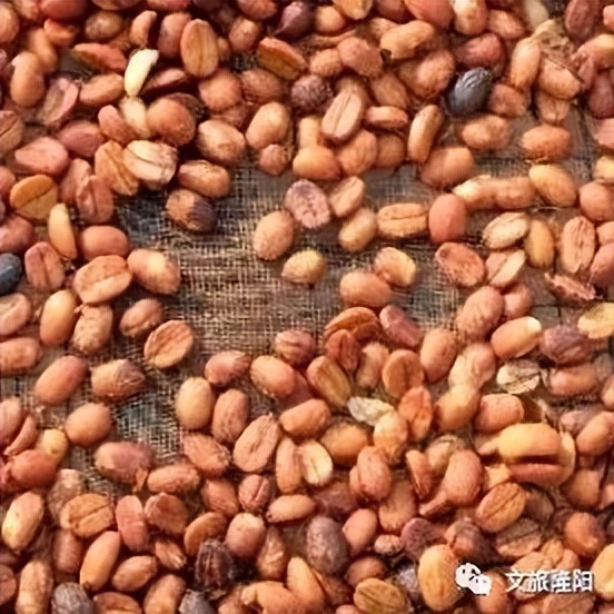 保山精品小粒咖啡,保山小粒咖啡豆哪里买