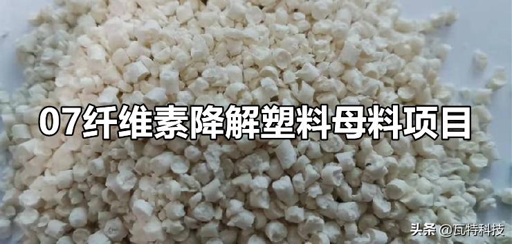 100万投资哪些项目最稳定赚钱,当下适合投资的小项目