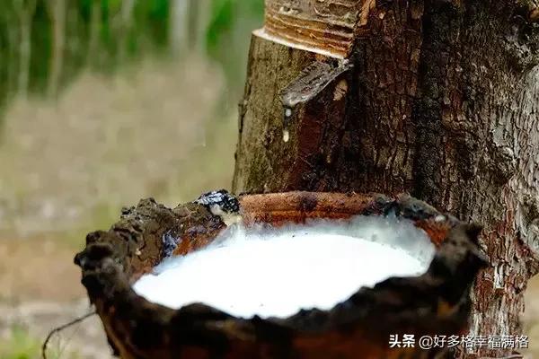 乳胶枕头软的纯还是硬的纯,乳胶枕头里有硬疙瘩