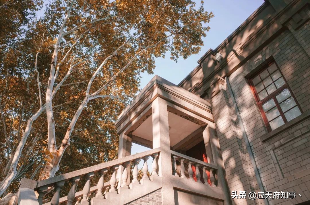 来南京不能错过的小众打卡地,南京江宁小众打卡点