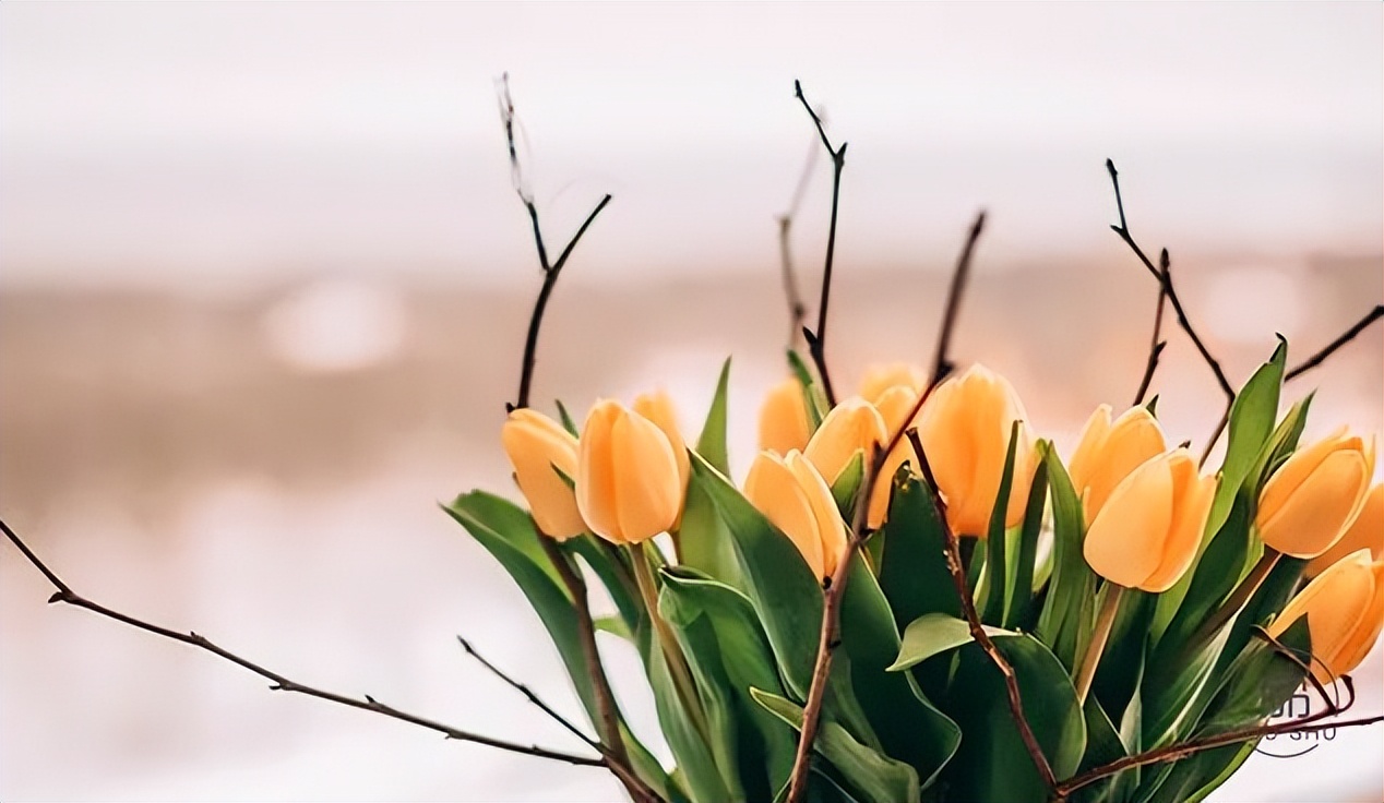 人生不顺时默念这三句话,人生诸事不顺时默念三句话