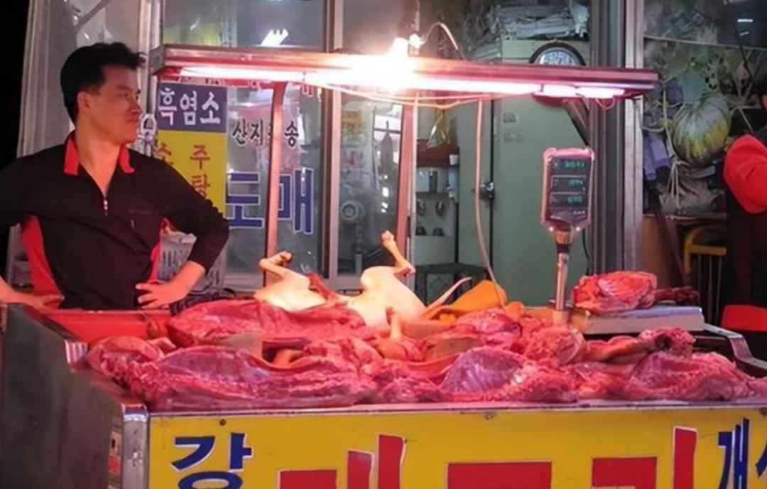 关于韩国10个有趣的冷知识,韩国冷知识