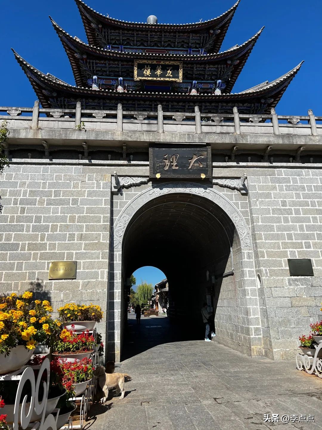 云南旅游疫情最新政策,云南旅游团疫情最新消息